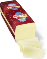 Fontina